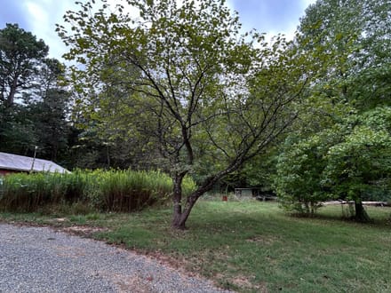 5918 Hwy 8 E