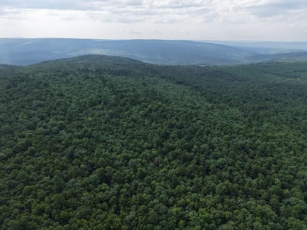 Pushmataha 80