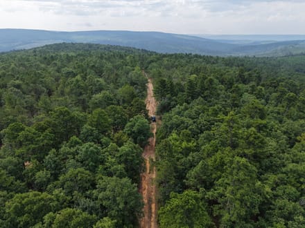 Pushmataha 80