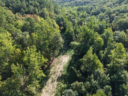 Forest Service Rd