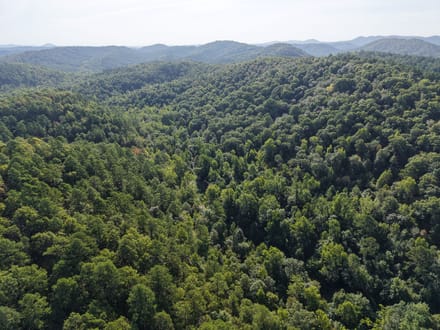 Forest Service Rd