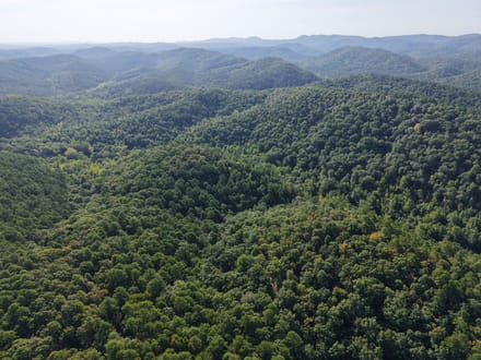 Forest Service Rd