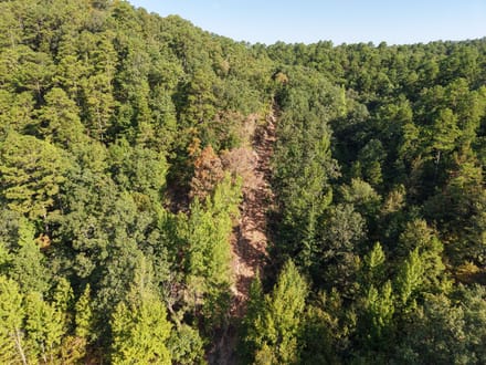 Forest Service Rd