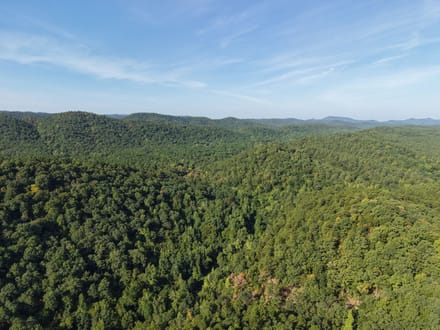 Forest Service Rd