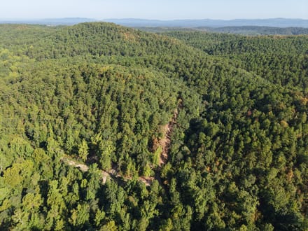 Forest Service Rd