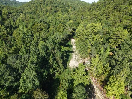 Forest Service Rd