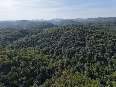 Forest Service Rd