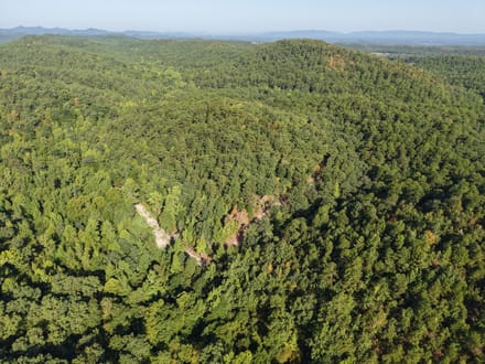 Forest Service Rd