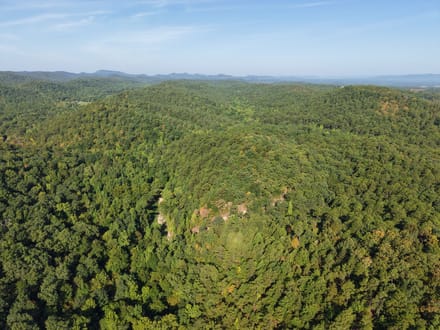 Forest Service Rd