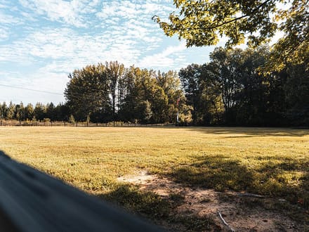 Chestnut Creek Farm
