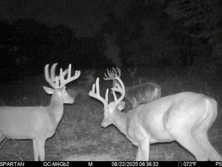Pulaski 55.94