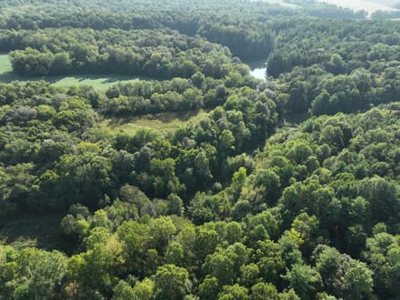 Greene County 5 Acres +/-
