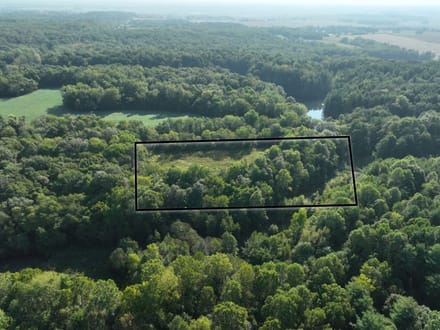 Greene County 5 Acres +/-
