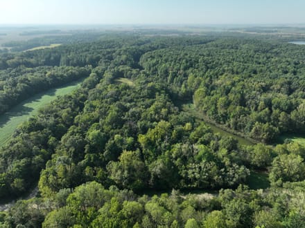Greene County 5 Acres +/-