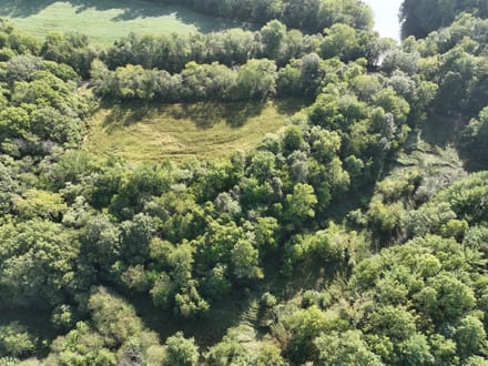 Greene County 5 Acres +/-