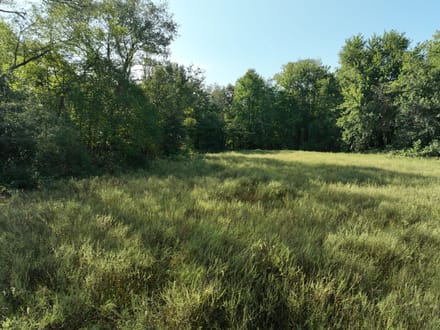 Greene County 5 Acres +/-