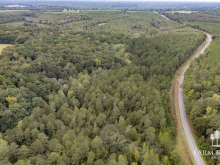 48 Ac ± Henry Co - CR 57 South 