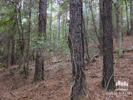 48 Ac ± Henry Co - CR 57 South 