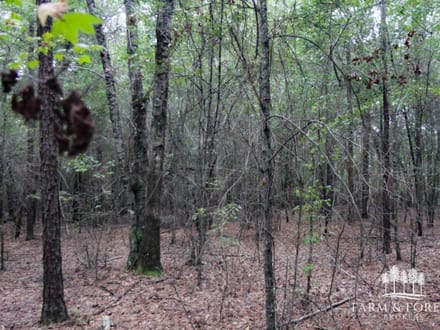 48 Ac ± Henry Co - CR 57 South 