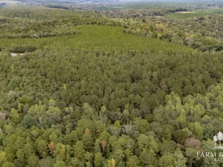 48 Ac ± Henry Co - CR 57 South 