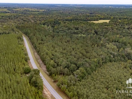 48 Ac ± Henry Co - CR 57 South 