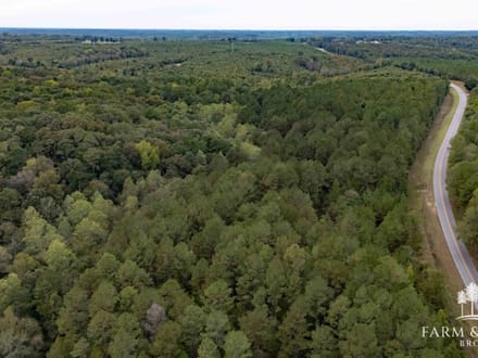 48 Ac ± Henry Co - CR 57 South 