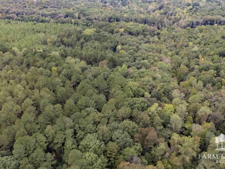 48 Ac ± Henry Co - CR 57 South 