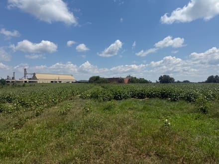 3.5 Ac ± - Coffee Co - CR 625 Homesite 