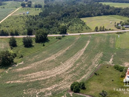 3.5 Ac ± - Coffee Co - CR 625 Homesite 