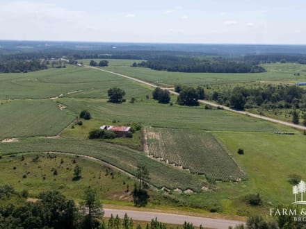 3.5 Ac ± - Coffee Co - CR 625 Homesite 