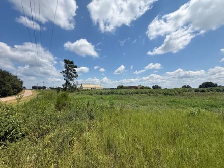 3.5 Ac ± - Coffee Co - CR 625 Homesite 