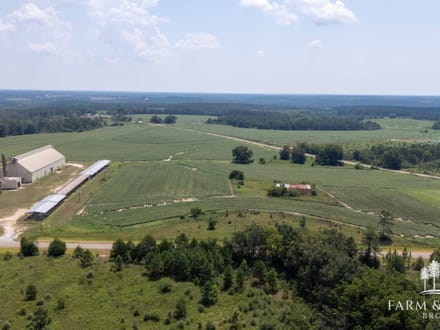 3.5 Ac ± - Coffee Co - CR 625 Homesite 