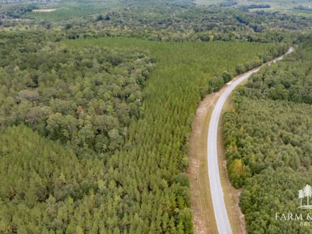 147 Ac ± Henry Co - Abbie Creek North 