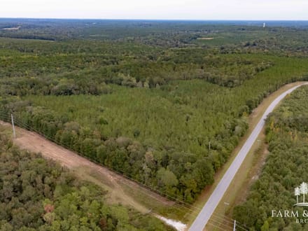 147 Ac ± Henry Co - Abbie Creek North 