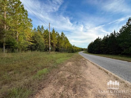 147 Ac ± Henry Co - Abbie Creek North 