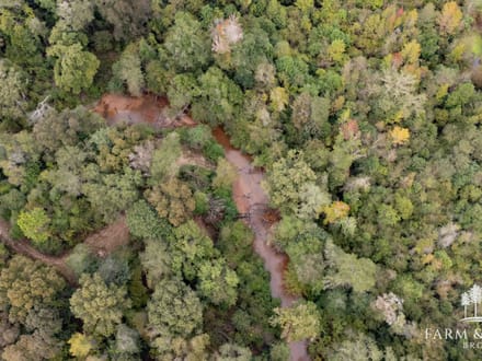 147 Ac ± Henry Co - Abbie Creek North 