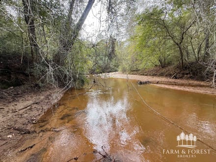 147 Ac ± Henry Co - Abbie Creek North 