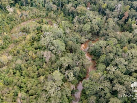 147 Ac ± Henry Co - Abbie Creek North 