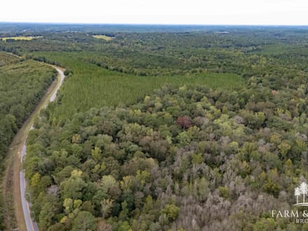 147 Ac ± Henry Co - Abbie Creek North 