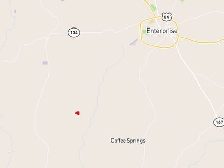 19.2 Ac ± Coffee Co - Buying Point Tract 