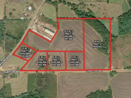19.2 Ac ± Coffee Co - Buying Point Tract 