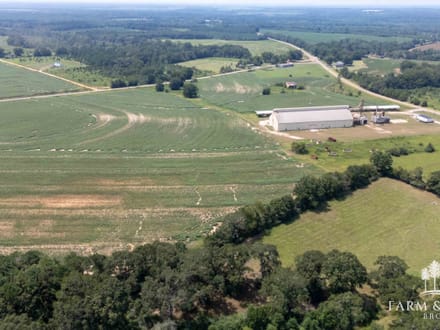19.2 Ac ± Coffee Co - Buying Point Tract 
