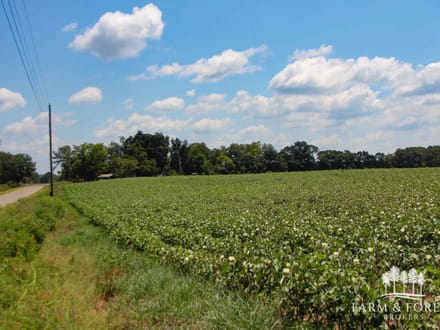 16 Ac ± Coffee Co - County Road 661 - Tract 6 