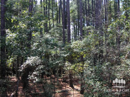 16 Ac ± Coffee Co - County Road 661 - Tract 6 