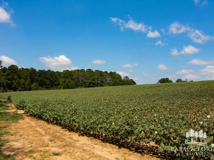 16 Ac ± Coffee Co - County Road 661 - Tract 6 