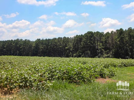 16 Ac ± Coffee Co - County Road 661 - Tract 6 