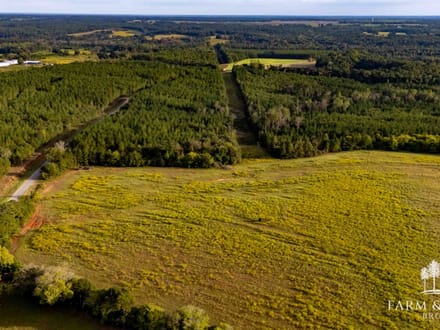 150 Ac ± Henry Co - Ward Creek 