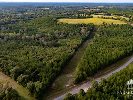 150 Ac ± Henry Co - Ward Creek 