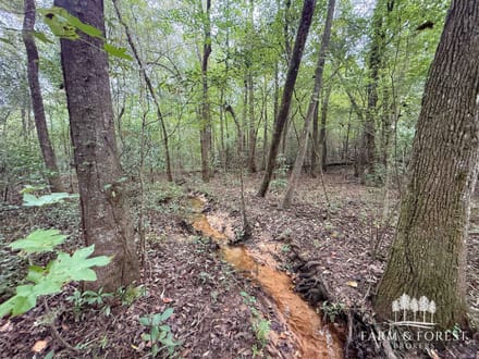 150 Ac ± Henry Co - Ward Creek 