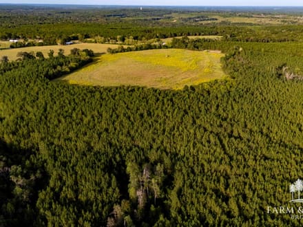 150 Ac ± Henry Co - Ward Creek 